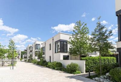 Teren dezvoltare imobiliara vile P+2  |  Zona Matei Millo - 6