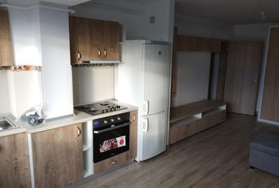 Apartament cu 1 camera tip studio in Tatarasi-Doi Baieti,bloc nou - 4