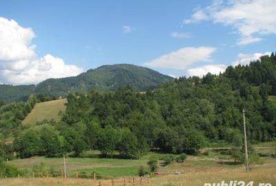 Teren intravilan platou - 4