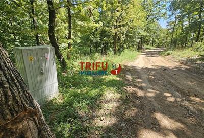 Teren intravilan 3177 mp de vanzare Alba-Micesti spre padure cu PUZ aprobat - 3