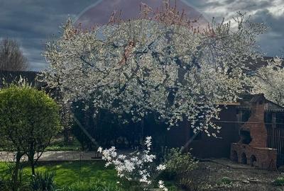 Casă cu 4 camere în Central - 7