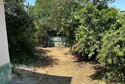 Casa batraneasca de vanzare, Oltina, Constanta, teren 1100mp, aproape de Dunare - 8