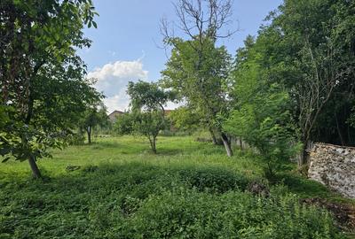 Teren intravilan - constructii, Suprafata 5.200 mp, Varzarii de Jos - 2