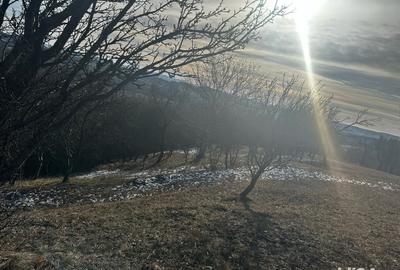 Teren de 8040 mp, în Mățău - 4
