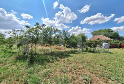 Casă cu 3 camere cu Teren 4600 Mp în Plopi