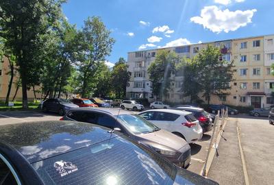 Apartament in parcul voievozilor!  Ideal pentru o familie - 11