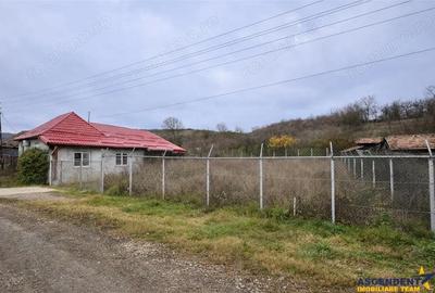 Casă cu Teren 2700 Mp în Sânmărghita - 5