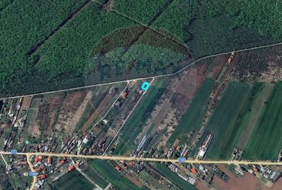 Teren intravilan, 450mp, Gruiu/Ilfov - 3