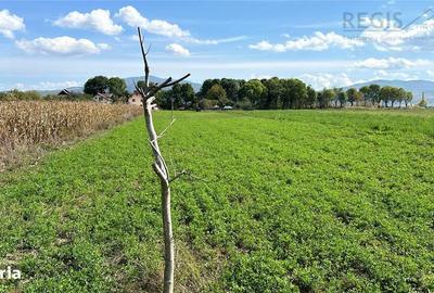 Teren de 3600 mp, în Prejmer - 1