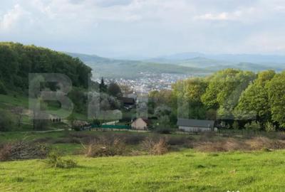 Teren de 740 mp, în Central