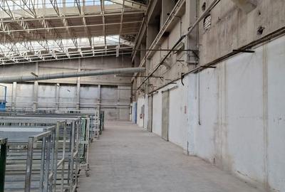 Ploiesti,semicentral, 24000mp, deschidere 264, comercial, rezidential Ploiesti,semicentral, 24000mp, deschidere 264, comercial, rezidential - 19