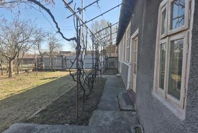 Casă cu 3 camere cu Teren 2880 Mp în Adea - 1