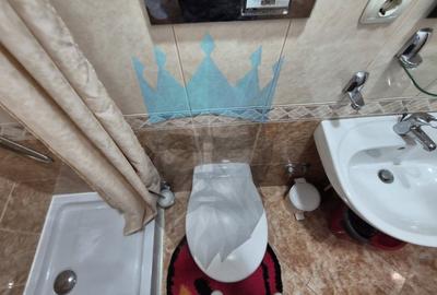 Garsonieră în Cișmigiu - 2