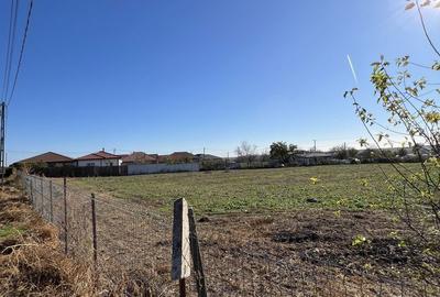 Teren de 4406 mp, în Dulcești - 1