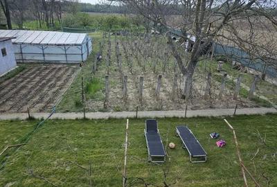 Casa in Comuna Nuci IF - 2