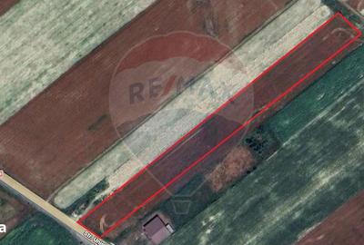 Teren de 12360 mp, în Vulturu - 8