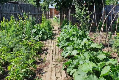 Casa, curte si teren 2780 mp - 2