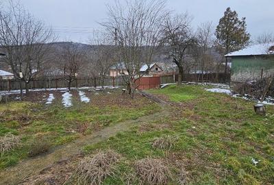 Casă individuală cu 2 camere cu Canalizare în Mitrofani - 14