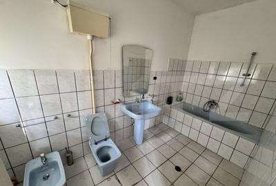 Hala 3.800 mp ,Oportunitati de Investitie - 5