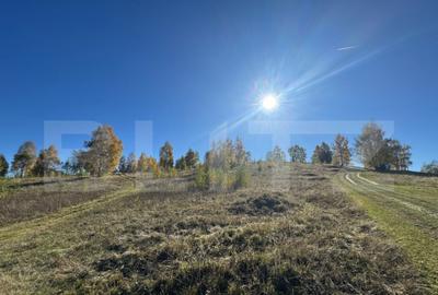 Teren extravilan 9.575 mp - 1