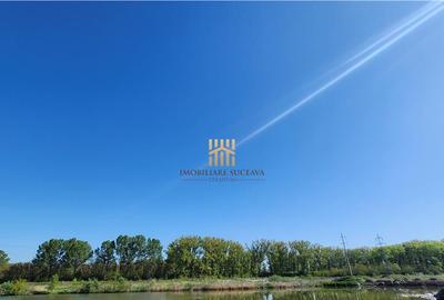 Teren 18 hectare - Scheia - Apa Sucevei! - 2