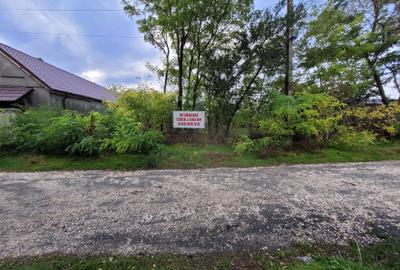 Teren intravilan intre case - 2079 mp - Movilita Teren intravilan intre case - 2079 mp - Movilita - 9