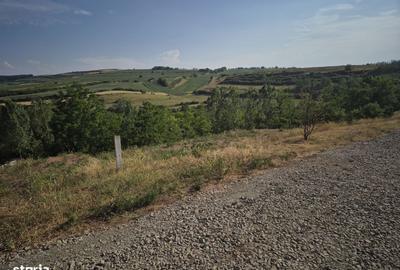 Spațiu comercial, în Ciugud - 2