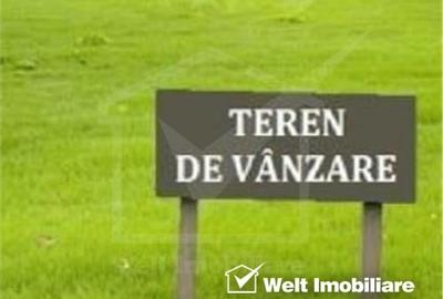 De vanzare teren extravilan pe Valea Seaca – oportunitate investitie - 1