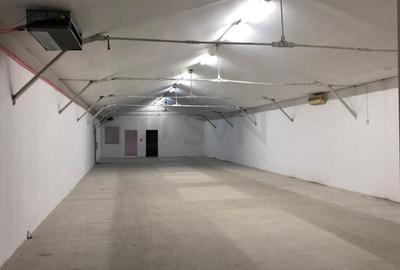 Spațiu industrial, de 475 mp, în Malu Roșu - 2