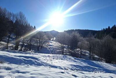 Teren de 8700 mp, în Tărlungeni - 4