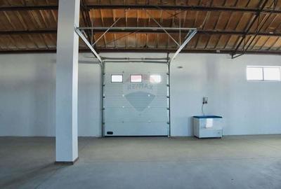 Hale industriale de inchiriat in Tg Neam? - 6