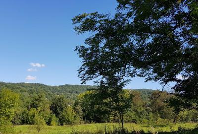 Spațiu comercial, în Provița de Jos