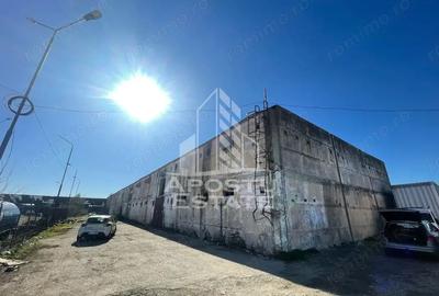 Spațiu comercial, de 3,185 mp, în Dumbrăvița - 5