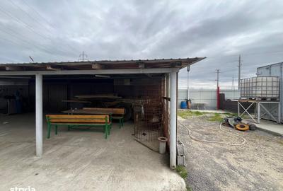 Spațiu comercial, în Ișalnița - 9