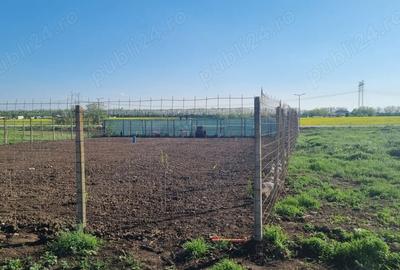 Teren de 600 mp, în Frumușani - 1