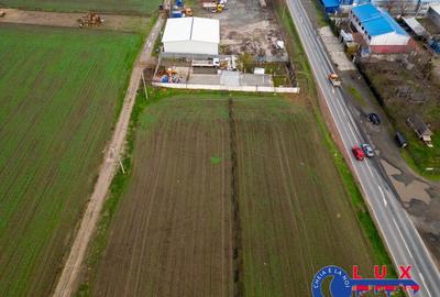 Teren de 1000 mp, în Cataloi