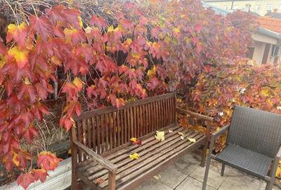 Vila ultracentrala, 390 mp utili,si birou cu acces stradal - 15