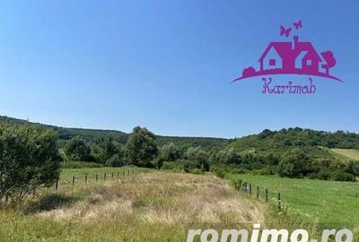 Teren intravilan Hidiselul de Sus - 3