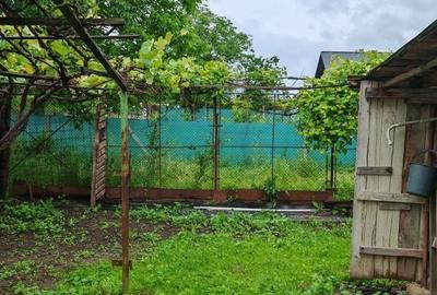 Casă cu 3 camere în Vișan - 1
