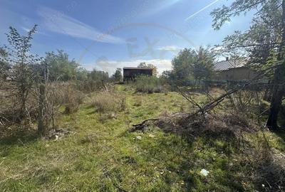 Teren de 5216 mp, în Ciupa-Mănciulescu