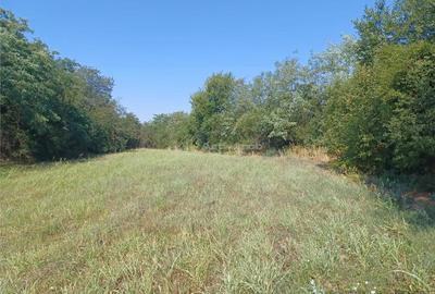 Casa Bila Ghimpati- Giurgiu - 13