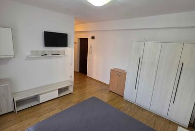 Garsonieră decomandată în Turnișor