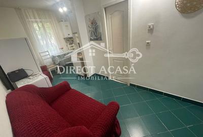 Garsonieră decomandată în Tudor - 7