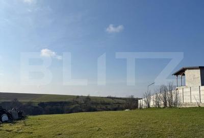 Teren de 1876 mp, în Bucovăț - 5