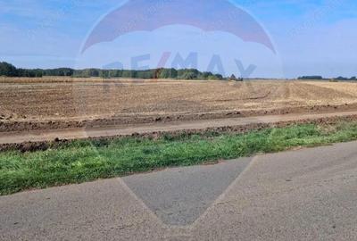 Teren de 21177 mp, în Santăul Mic - 2