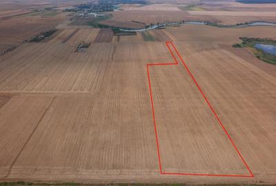 FRUMUSANI - PASAREA, TEREN 14420 MP, FRONT 40 M! - 21