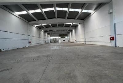 Spațiu comercial, de 1,400 mp, în Chișoda - 24