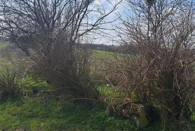 Spațiu comercial, în Central - 5