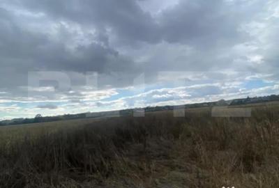 Teren de 2500 mp, în Central - 4