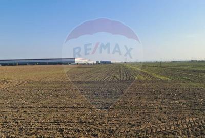Teren intravilan vanzare zona Domnesti - Autostrada-zona industriala